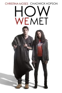 How We Met (2016) WEB-DL Dual Audio {Hindi-English} Movie 480p 720p 1080p Filmyzilla