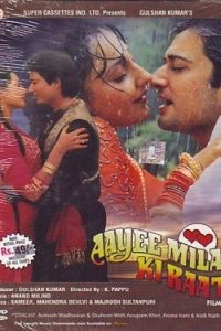 Aayee Milan Ki Raat (1991) Full Movie 480p 720p 1080p