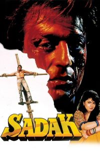 Sadak 1991 Hindi Full Movie 480p 720p 1080p