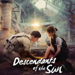 Descendants of the Sun (2016) Hindi Org Dub +Korean Season 1 Complete Series 480p 720p 1080p